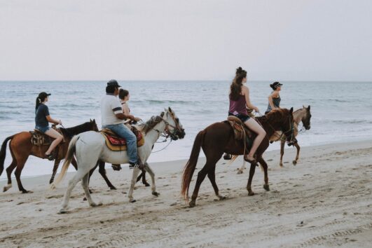Bodrum Horseback Riding Tour