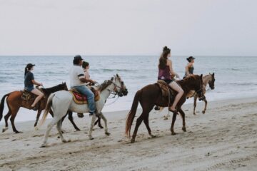 Bodrum Horseback Riding Tour