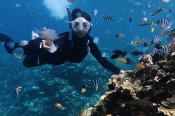 Fethiye Scuba Diving