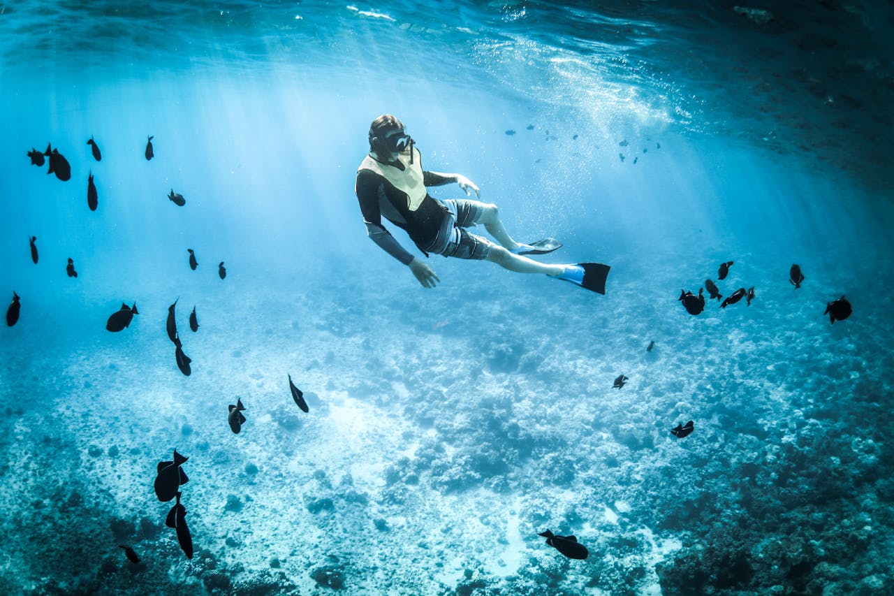 Bodrum Scuba Diving
